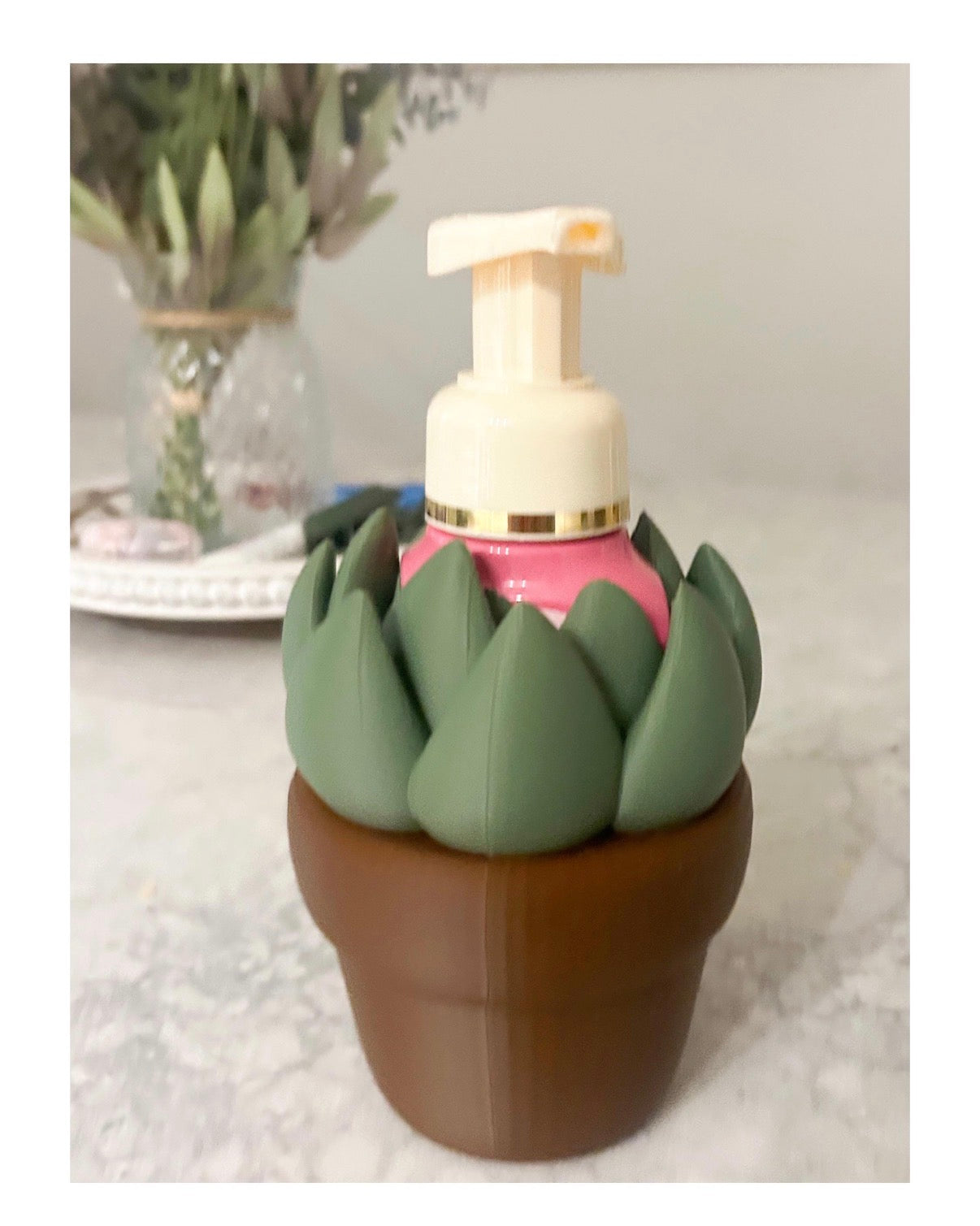 Succulent Soap Holder